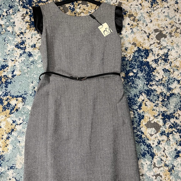 Classy Wool Lined Dress with Vegan Leather Flutter Sleeve - Picture 1 of 5